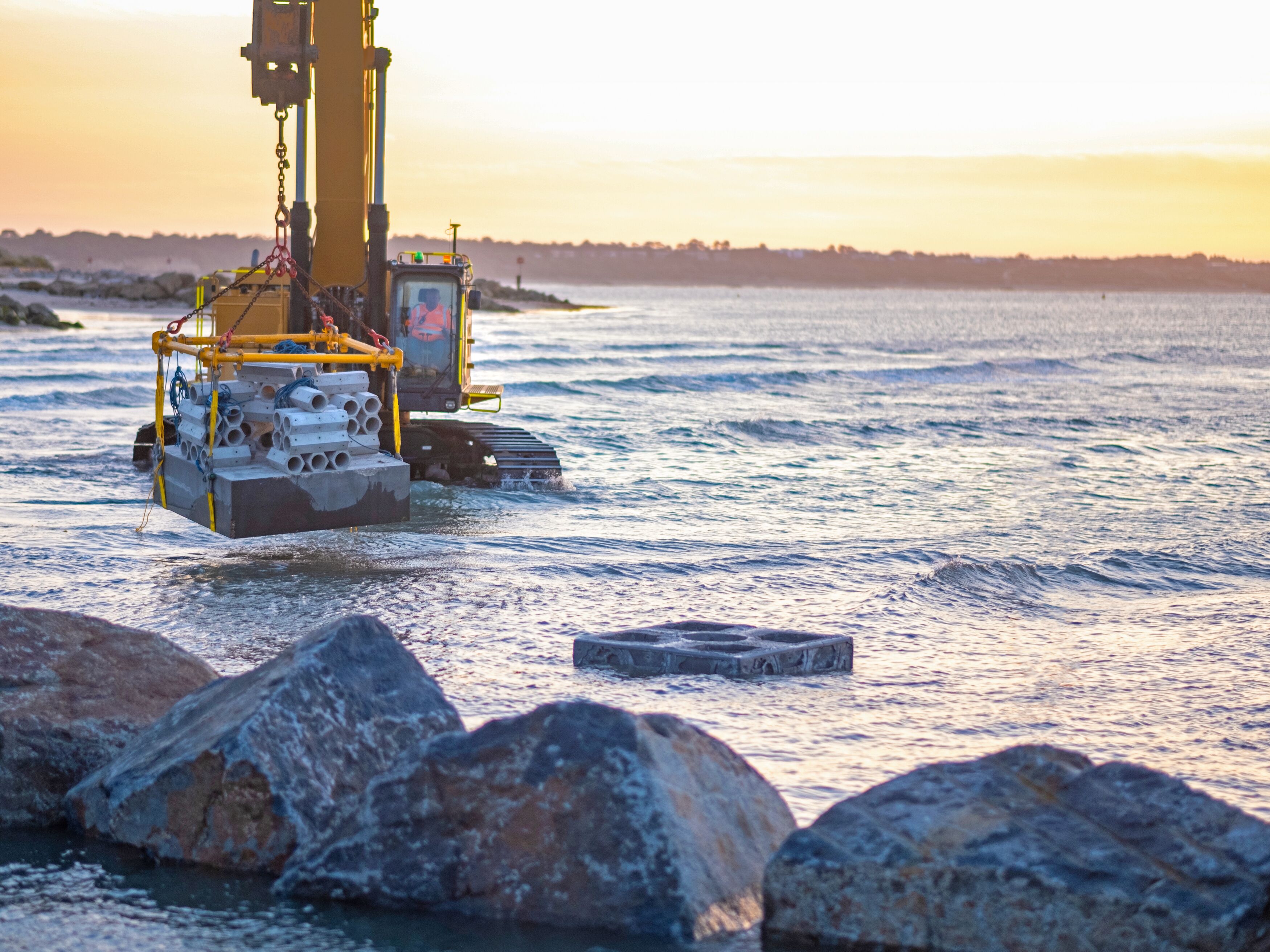 Large ARP Hengistbury Head